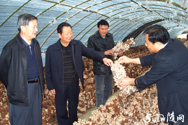 老骥伏枥--市老促会原会长吴治炎生前老区工作