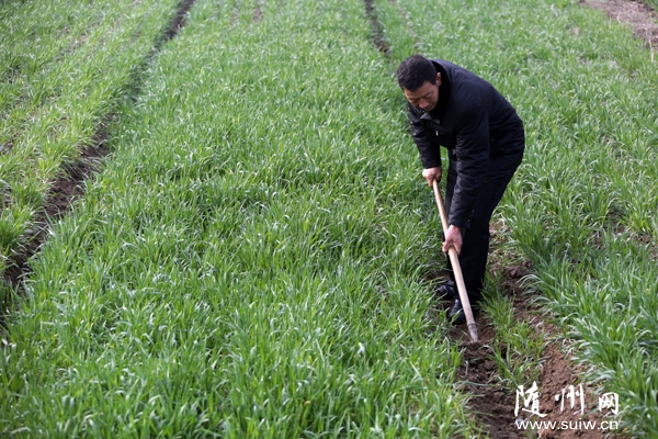 随县农民人口_随县一中所有老师照片